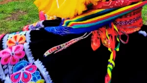 Carnavales 2024 en Cusco y Cajamarca